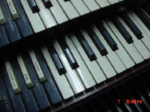 organ4.jpg